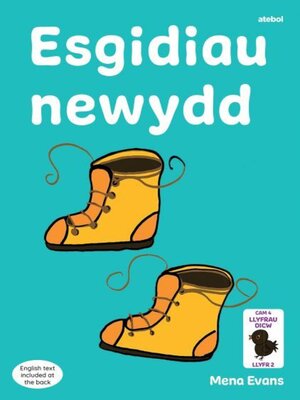 cover image of Llyfrau Hwyl Magi Ann